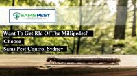 SAMS Millipedes Control Sydney image 9